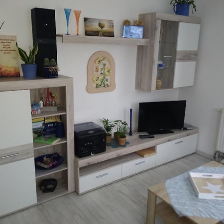 Ferienhaus Johanna & Ferienwohnung Thum Weischlitz المظهر الخارجي الصورة