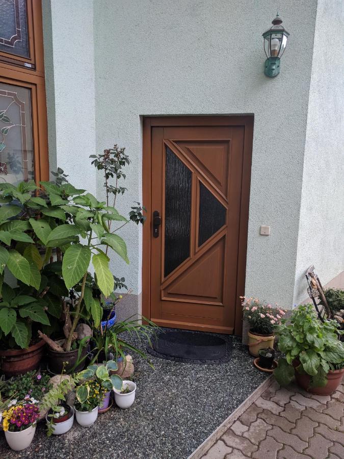 Ferienhaus Johanna & Ferienwohnung Thum Weischlitz المظهر الخارجي الصورة