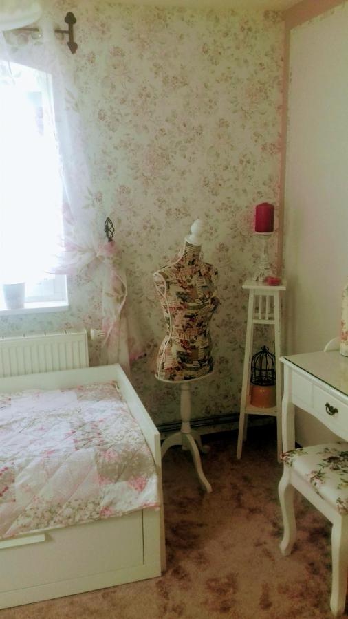 Ferienhaus Johanna & Ferienwohnung Thum Weischlitz المظهر الخارجي الصورة