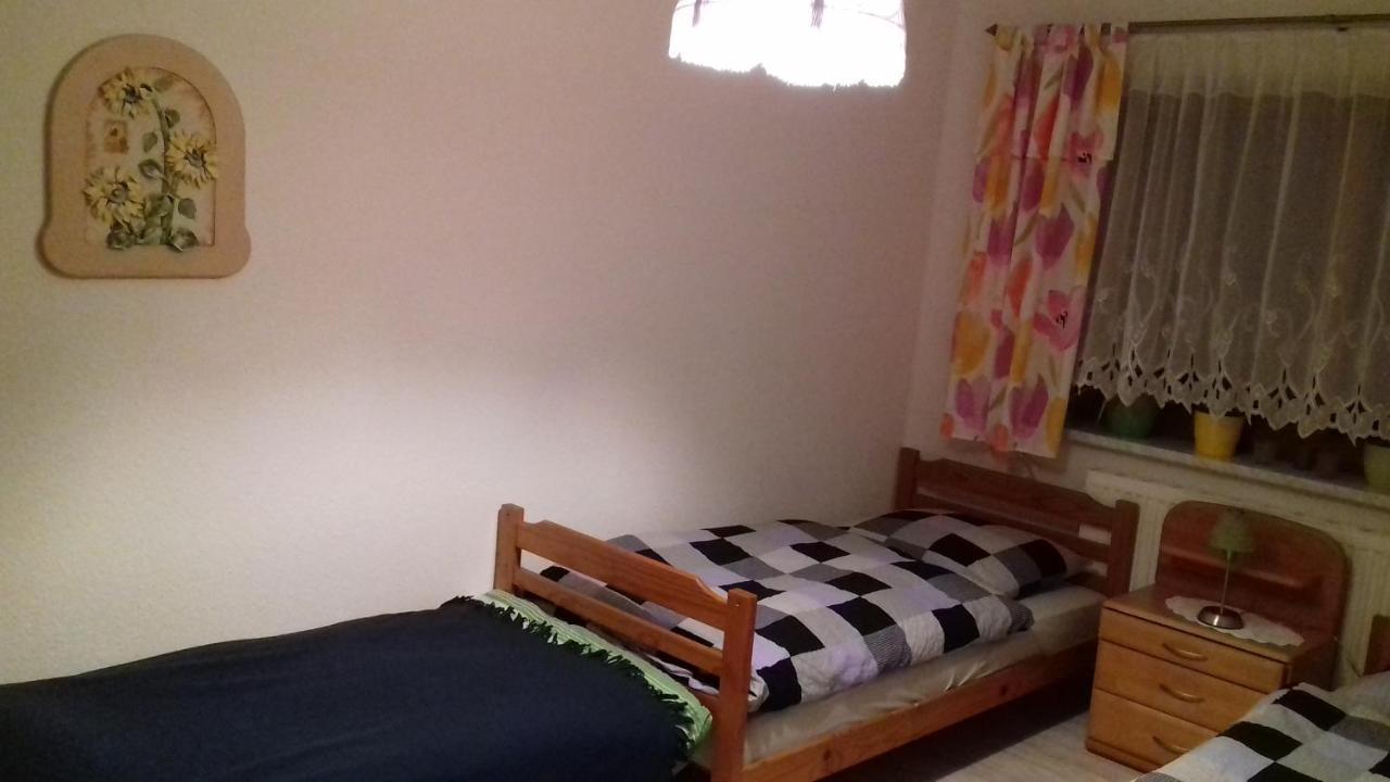 Ferienhaus Johanna & Ferienwohnung Thum Weischlitz المظهر الخارجي الصورة